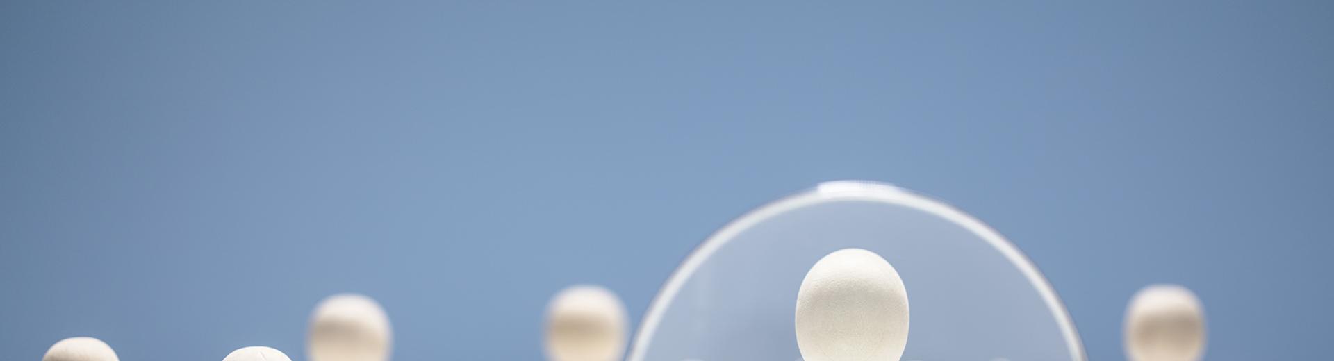 jobs onze vacatures-nos offres demploi